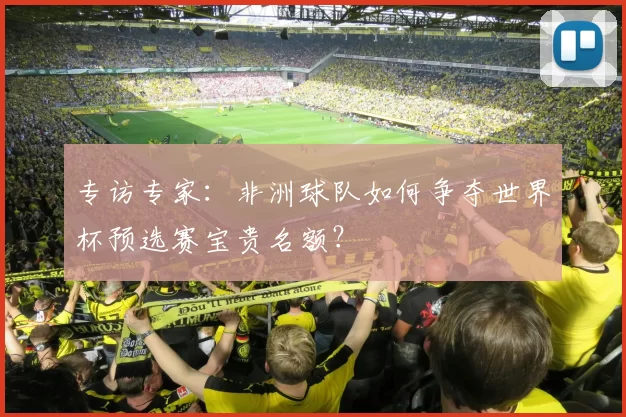 专访专家:非洲球队如何争夺世界杯预选赛宝贵名额?