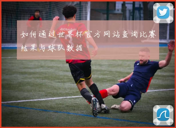 如何通过世界杯官方网站查询比赛结果与球队数据