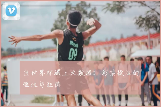 当世界杯遇上大数据：彩票投注的理性与狂热