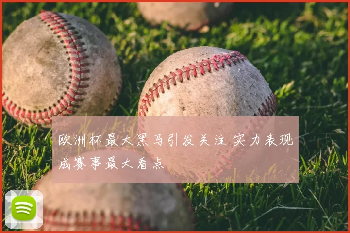 欧洲杯最大黑马引发关注 实力表现成赛事最大看点