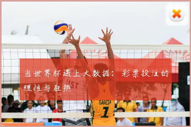 当世界杯遇上大数据：彩票投注的理性与狂热