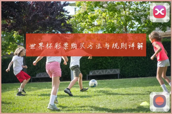 世界杯彩票购买方法与规则详解