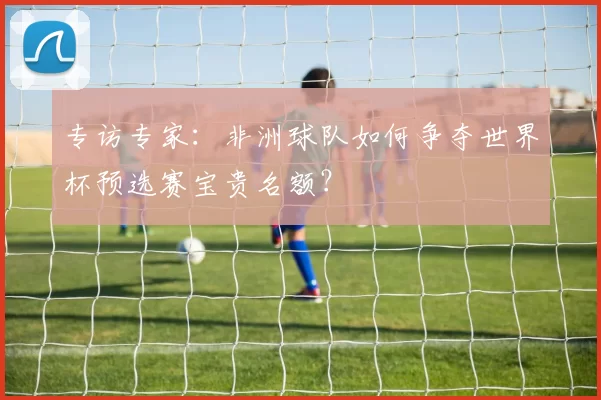 专访专家:非洲球队如何争夺世界杯预选赛宝贵名额?