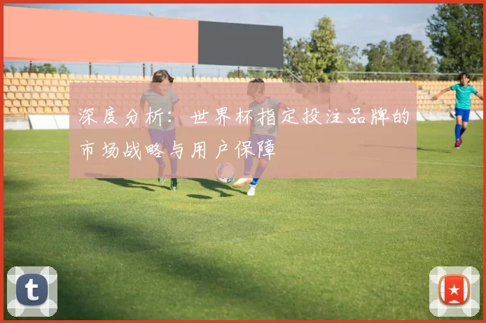 深度分析:世界杯指定投注品牌的市场战略与用户保障